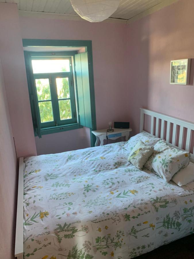 Maison d'hôtes Sao Miguel House , Casa Do Carvalhal à Santarém Extérieur photo